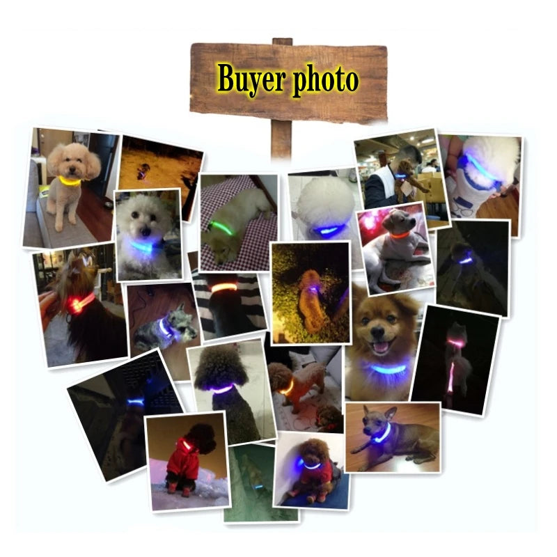 LED Dog Collar Light – USB Rechargeable/Battery Night Safety Glow Collar for Dogs & Puppies, Anti-Lost Pet Accessory