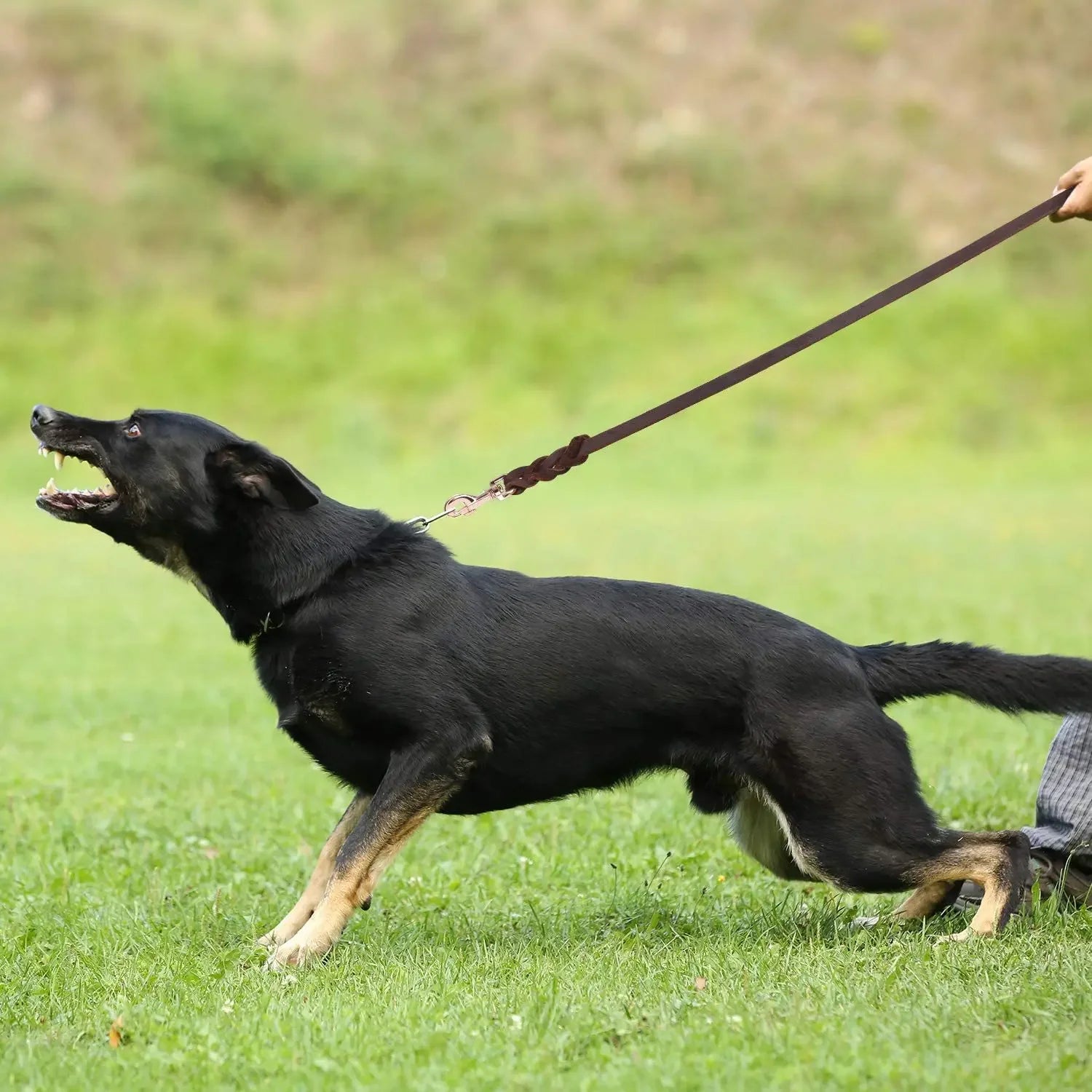Genuine Leather Dog Leash – Braided Long Training Lead for Medium & Large Dogs