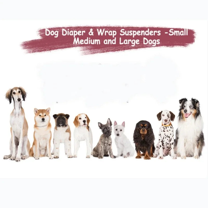 Dog Diaper Suspenders 🐾 Adjustable Non-Slip Pet Nappy & Belly Band Holder