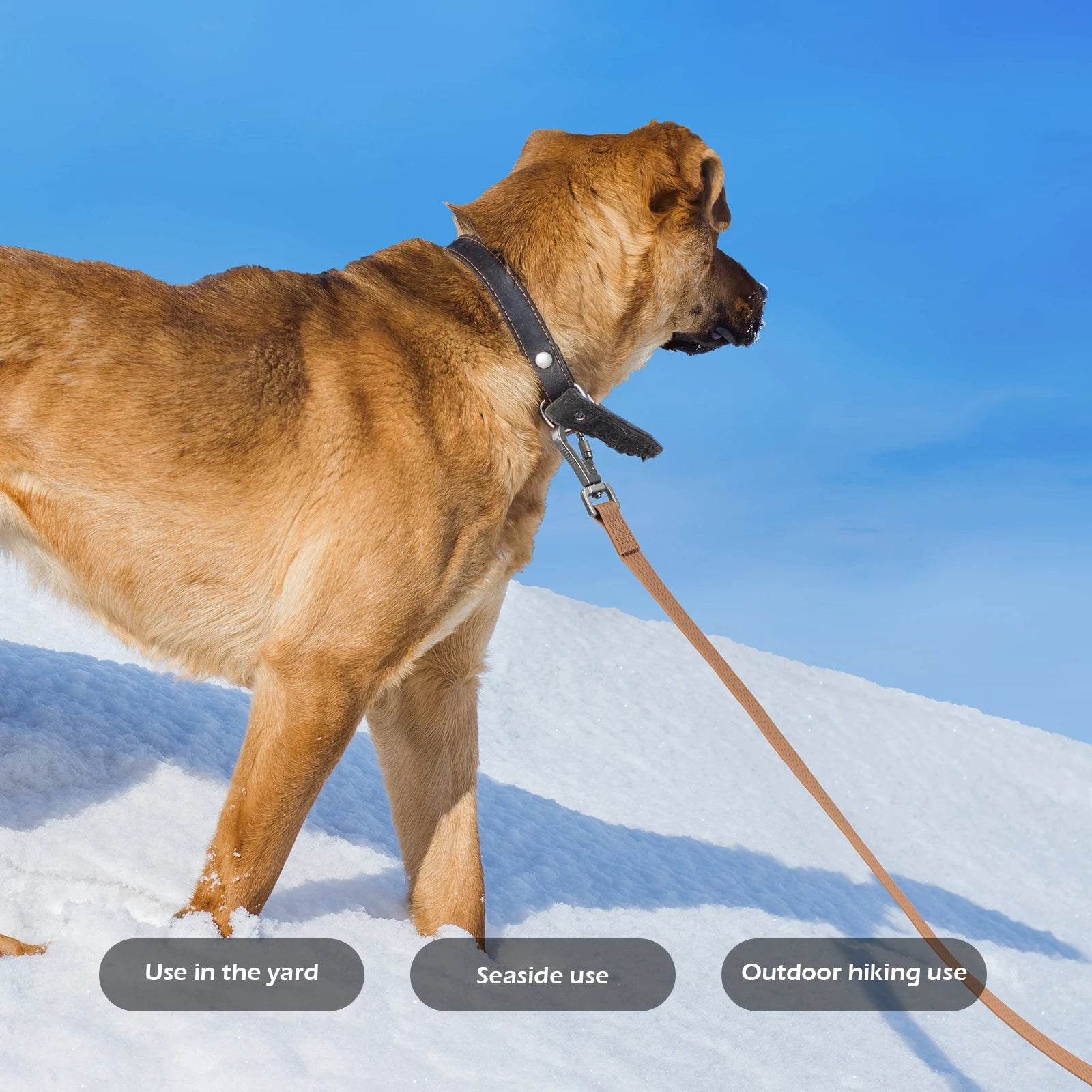 PVC Dog Training Leash – Waterproof, Durable Lead (1.8m, 3m, 5m, 10m)