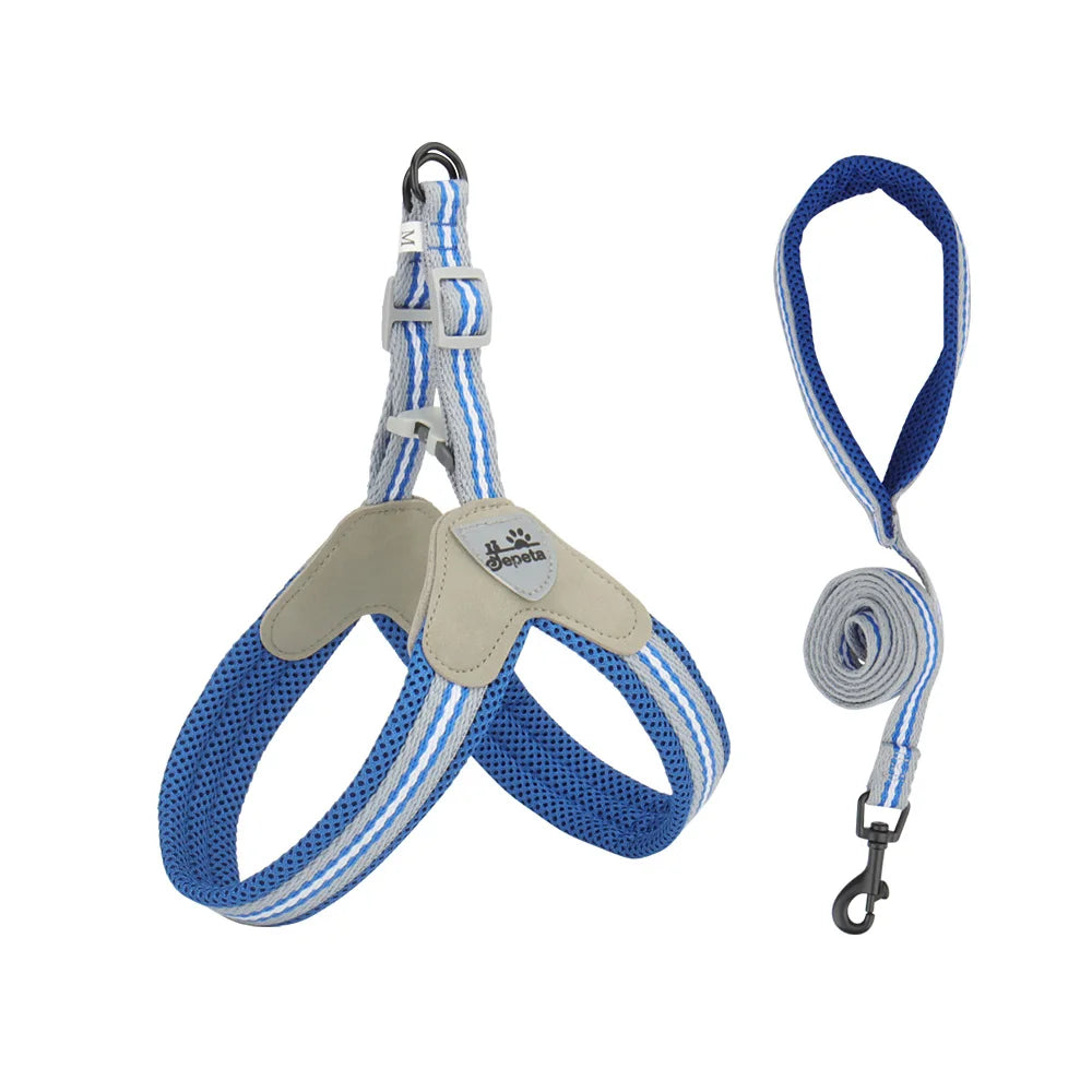 🐾 Vest Style Dog Harness & Leash Set – Adjustable Chest Strap for Small & Medium Dogs