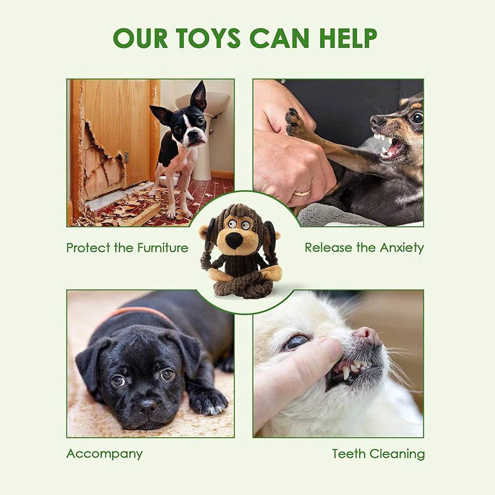 Squeaky Puppy Plush Chew Toy – Monkey Design