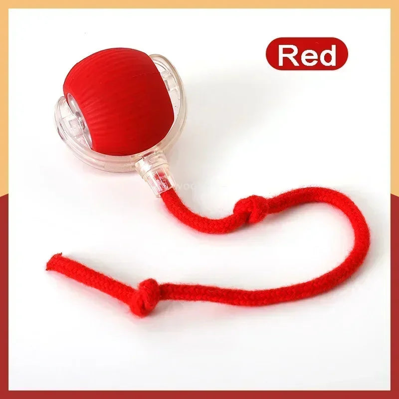 Smart Rolling Ball Toy – Rechargeable Interactive Toy for Cats & Dogs