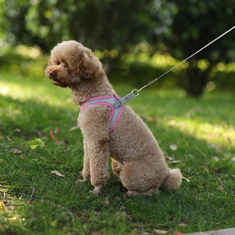 🐾 Adjustable Dog Harness & Leash Set – For Small Dogs, Cats, French Bulldogs, Chihuahuas & Pugs