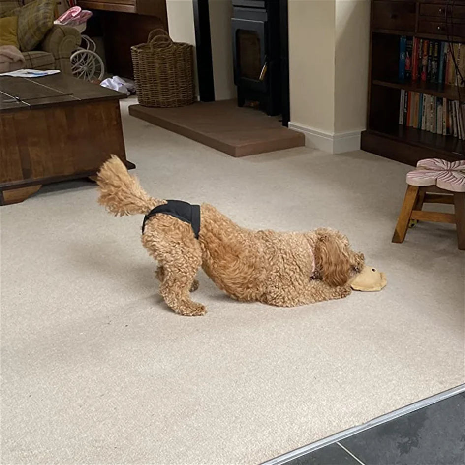 Female Dog Washable Diaper Pants – Anti-Harass Heat Nappies with 8 Pads