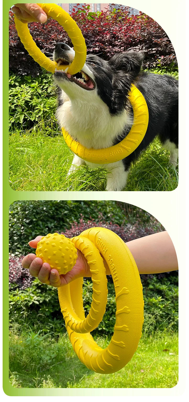 Dog Toys Pet Flying Discs / Training Ring