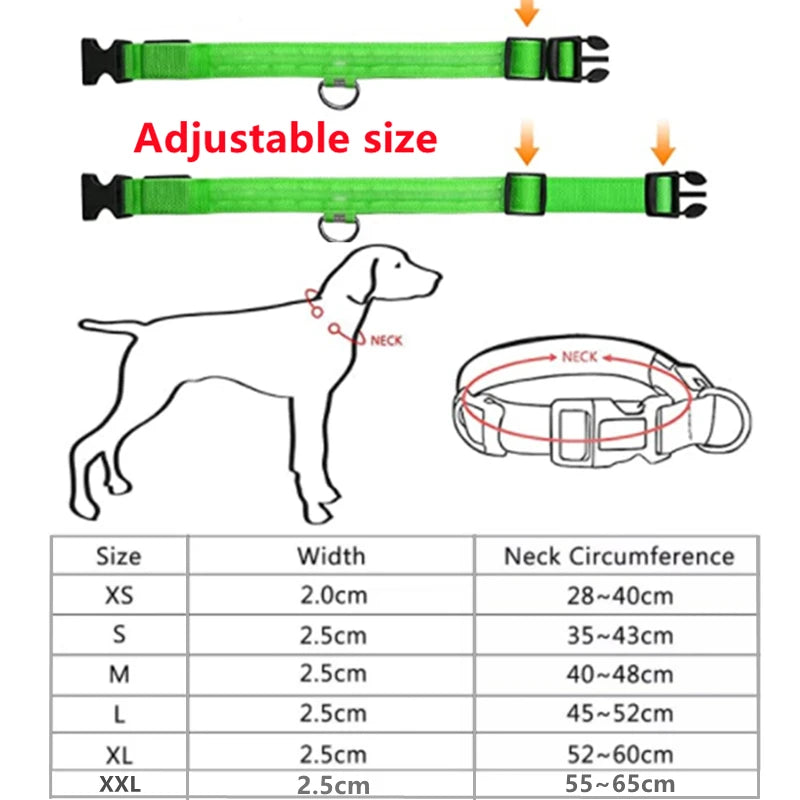 USB Rechargeable LED Glowing Pet Collar – Adjustable Night Light Safety Collar for Dogs & Cats