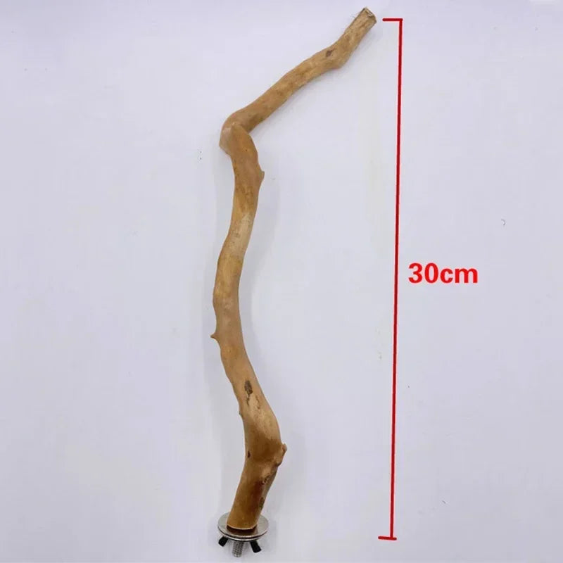 Natural Bird Perch Stand – Climbing & Paw Grinding Branch for Parrots