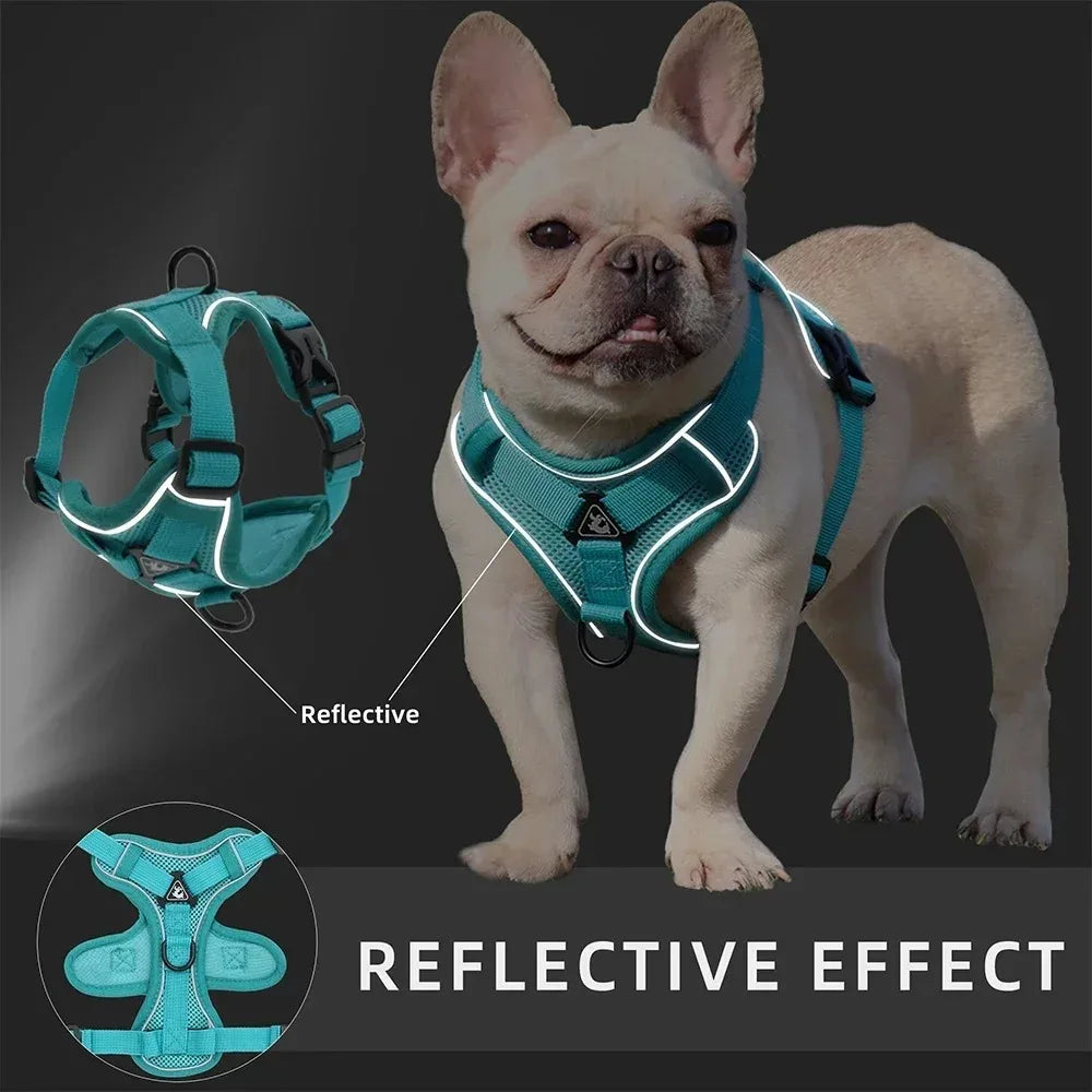 🐾 No Pull Dog Harness & Leash Set – Adjustable Reflective Vest for Small Dogs & Cats