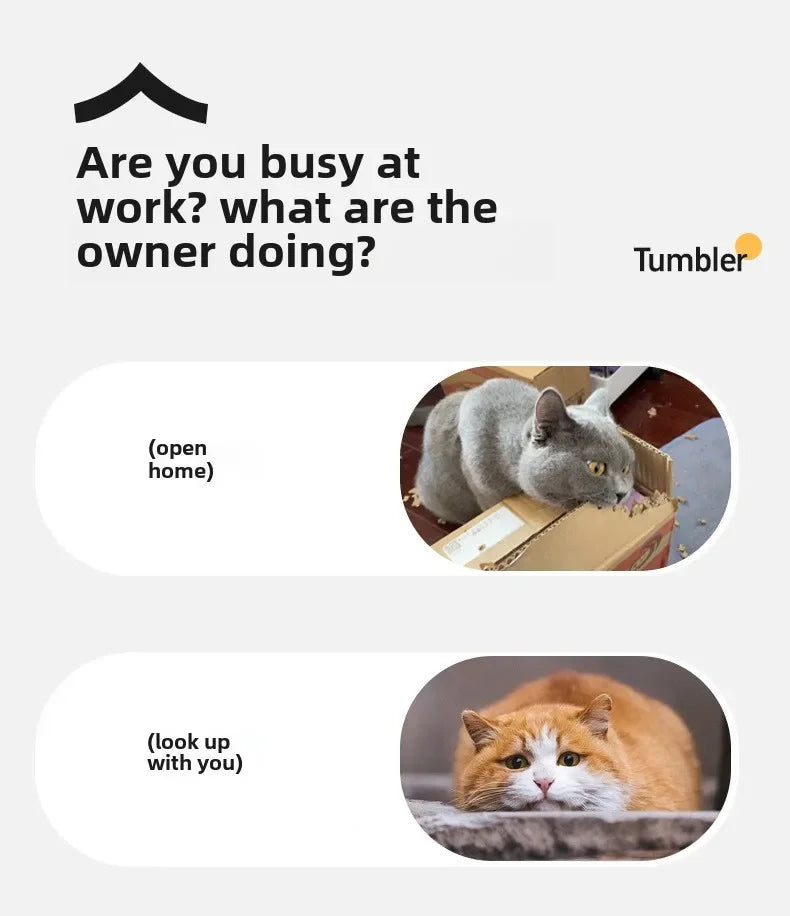 Smart Rolling Ball Toy – Rechargeable Interactive Toy for Cats & Dogs