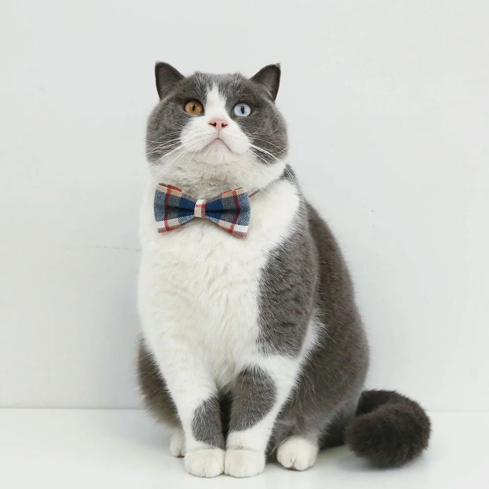 Adjustable Pet Bow Tie – Formal Breakaway Neck Tie Collar for Small Dogs & Cats