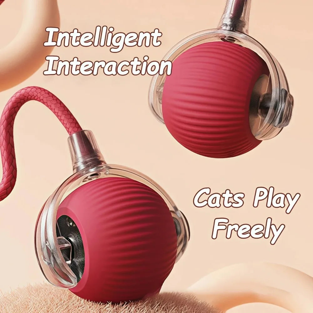 Smart Rolling Cat Toy – Rechargeable Ball with Faux Tail & Mouse Simulation