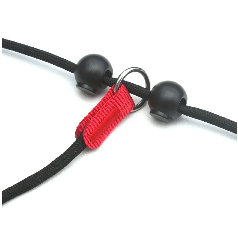 Dog Slip Lead Leash with Double Padded Handle – No Pull Training Lead with Choker Collar & Anti-Tangle Design