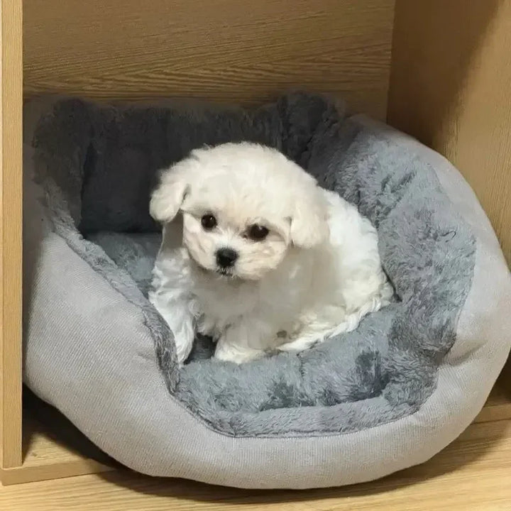 Very Soft Warm Dog Bed Sofa – Cozy Pet Basket for Medium & Large Dogs & Cats