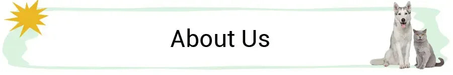 🧸 Plush Dog Toys – Squeaky Soft Pet Chew Toys (Ice Cream, Fries, Hamburger)