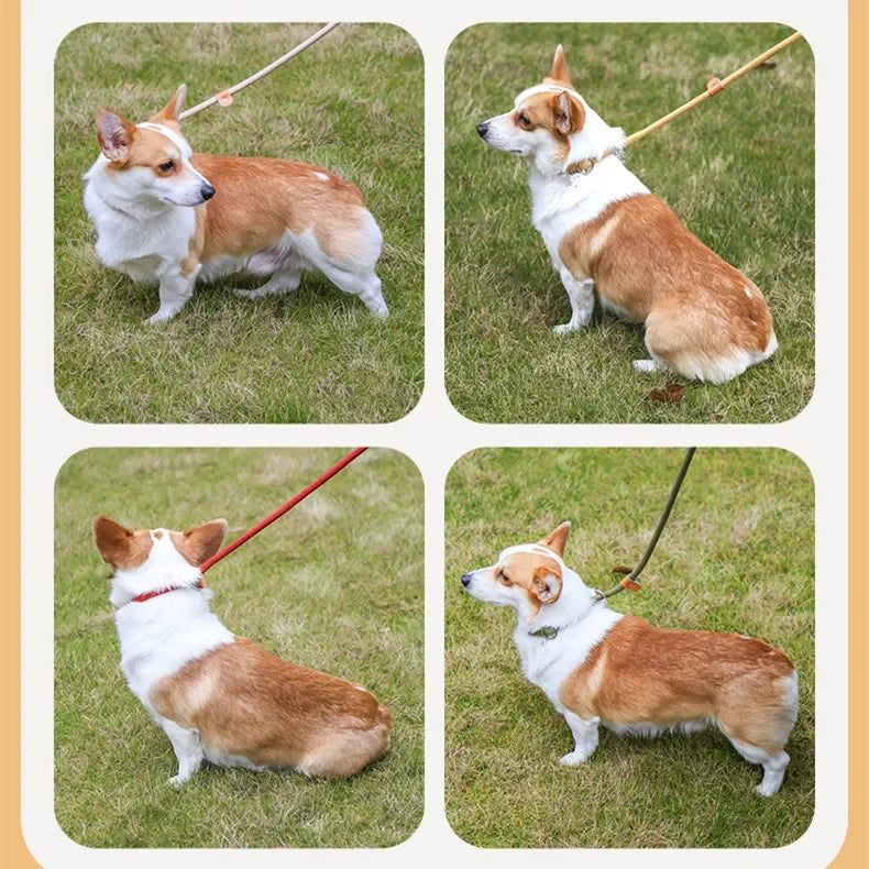 Heavy Duty Slip Rope Dog Leash – Adjustable Braided Training Lead