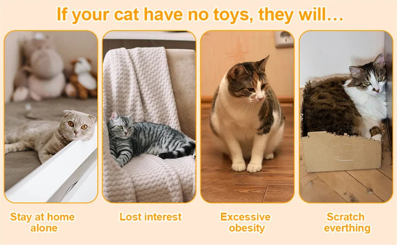 Interactive Wooden Cat Puzzle Box – Treat Maze & Hide and Seek Agility Toy