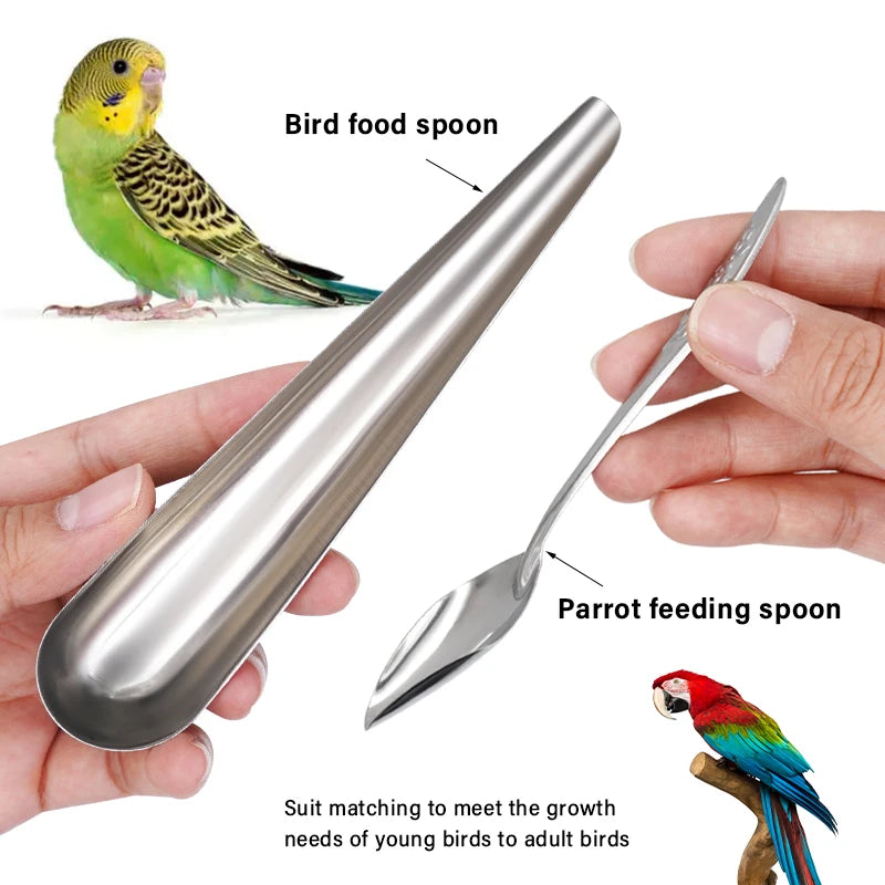 🐦 Stainless Steel Bird Feeding Spoon – Pet Bird & Parrot Cage Feeder Tool