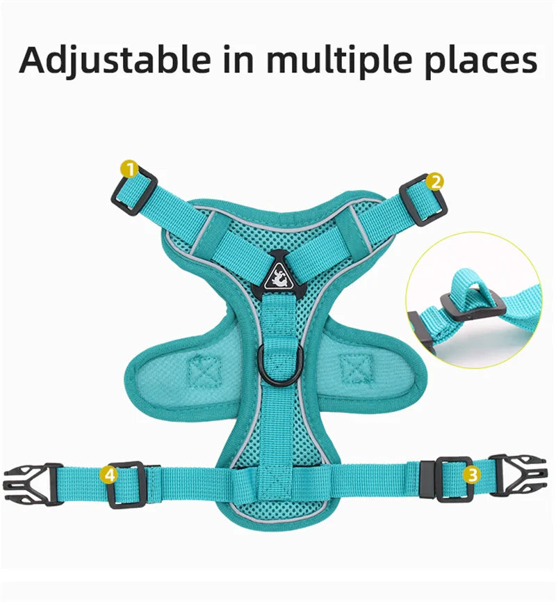 🐾 Fashion Reflective Cat Harness & Leash Set – Breathable Mesh for Cats & Small Dogs