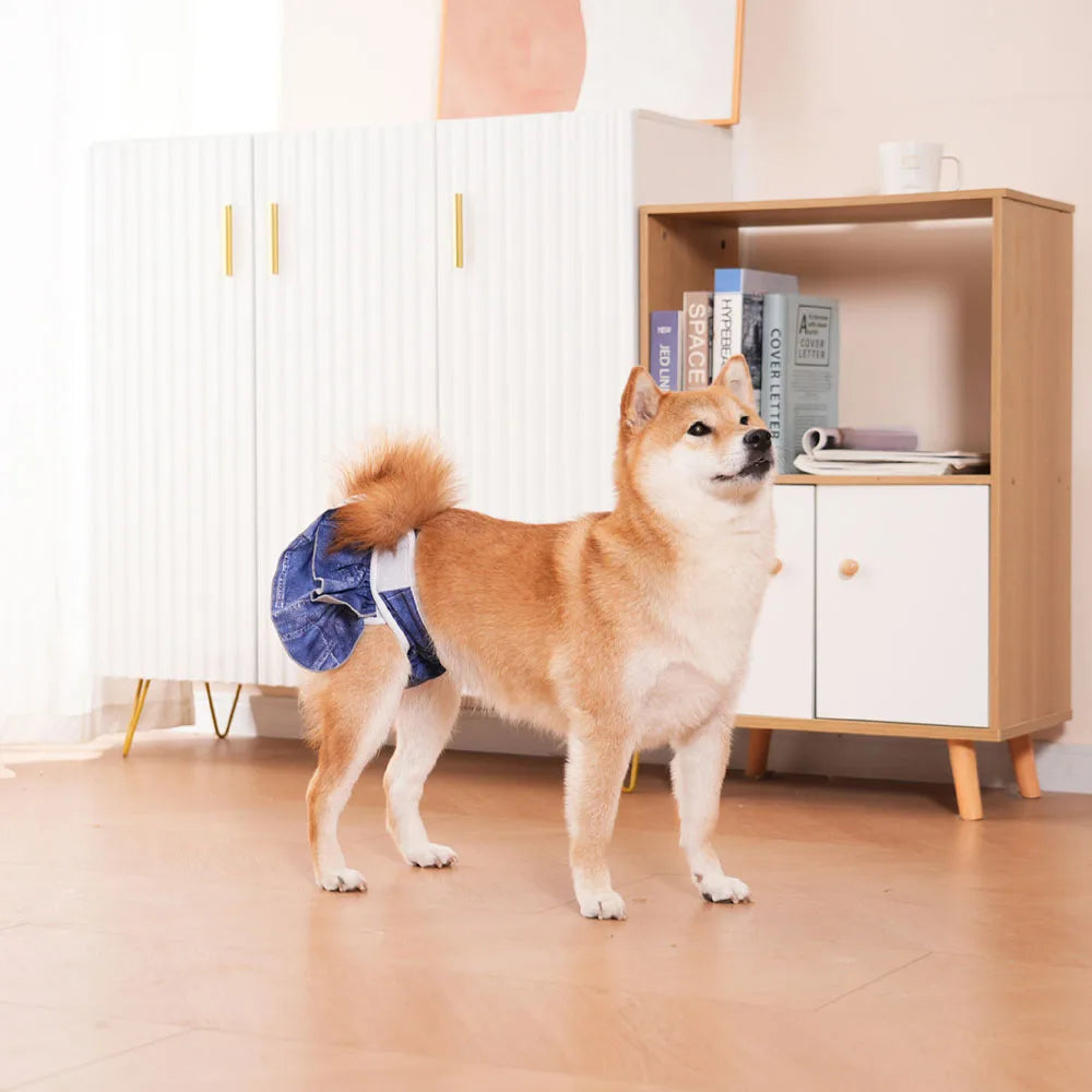 Reusable Female Dog Diapers – Washable, Highly Absorbent Doggie Diaper Shorts for Girl Dogs in Heat & Incontinence