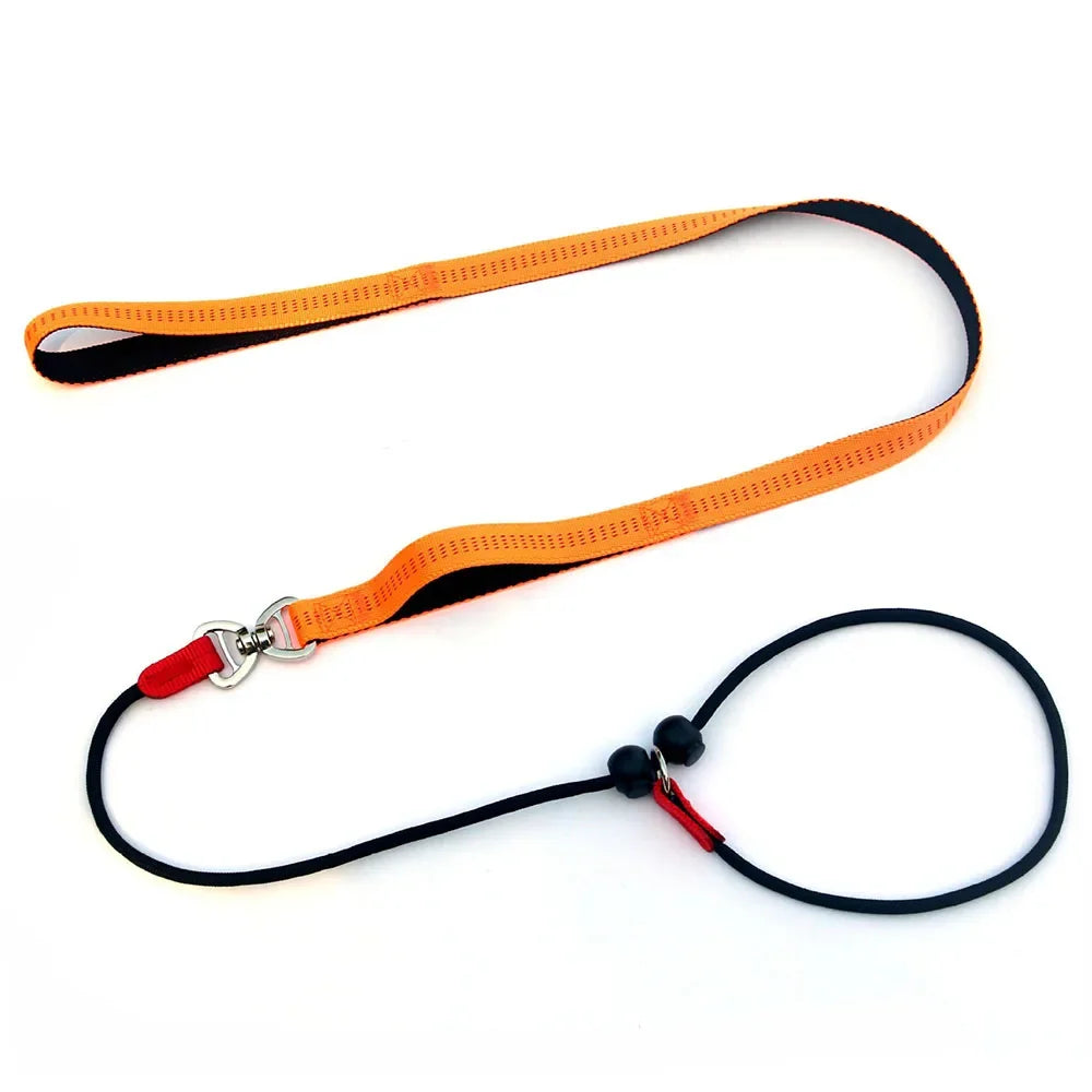 Dog Slip Lead Leash with Double Padded Handle – No Pull Training Lead with Choker Collar & Anti-Tangle Design