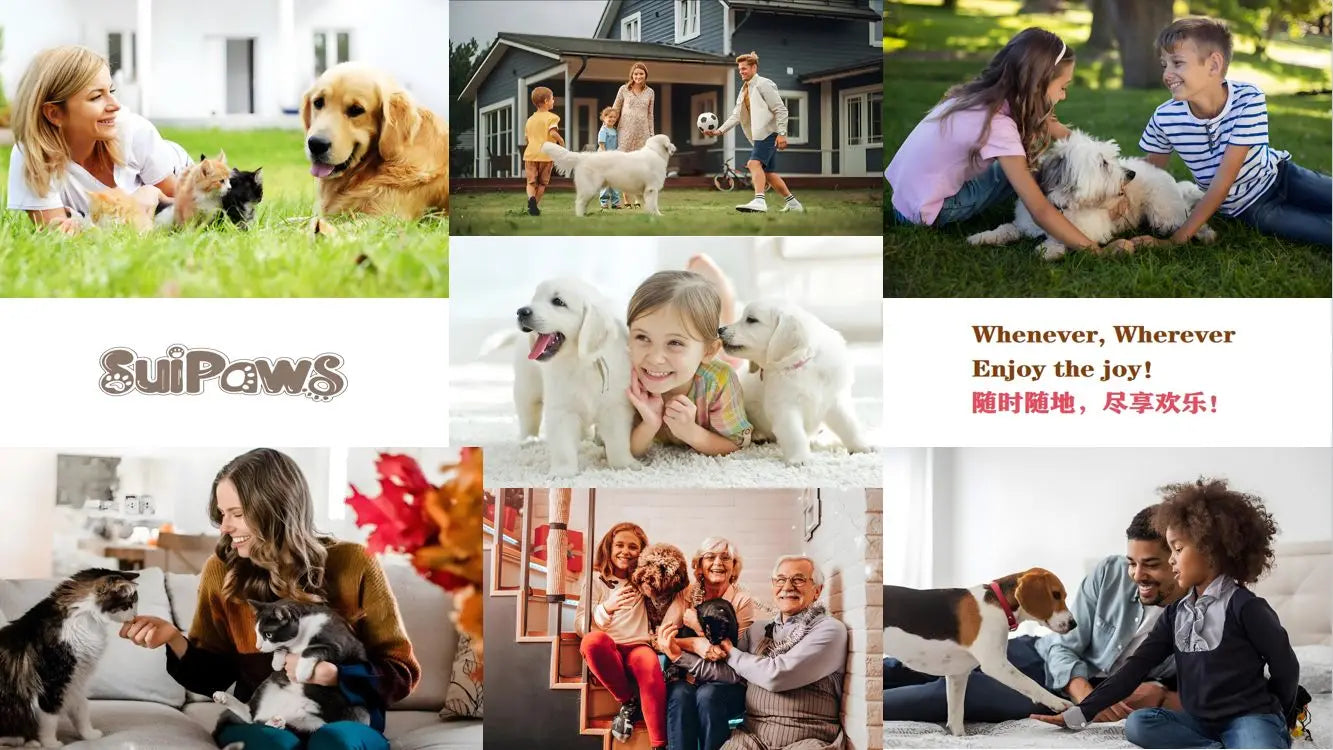 Pangolin Pet Toy – Squeaky Plush for Dogs & Cats, Teeth Cleaning