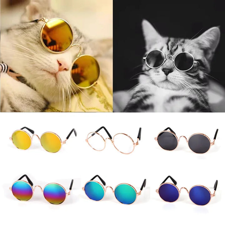 Vintage Round Cat Sunglasses – Cute Pet Photo Prop Eyewear for Cats & Small Dogs
