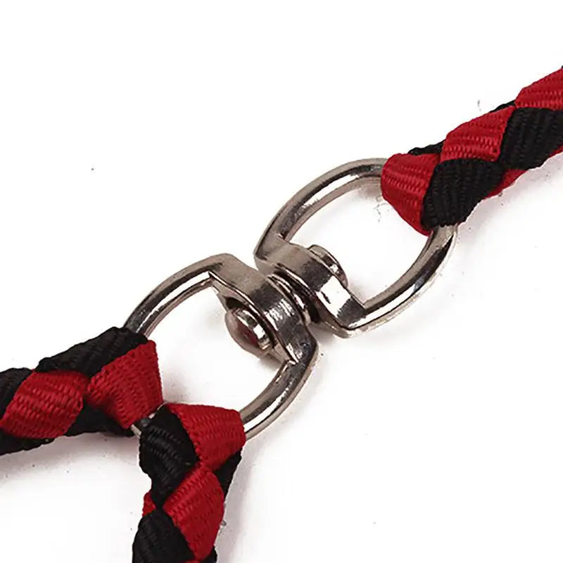 Double Dog Leash – Durable Traction Rope for 2 Dogs 🐕🐕‍🦺