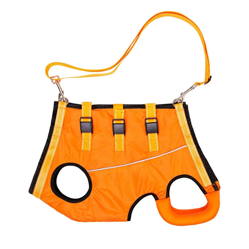 Dog Lift Harness Support Sling – Padded Aid for Disabled & Injured Dogs