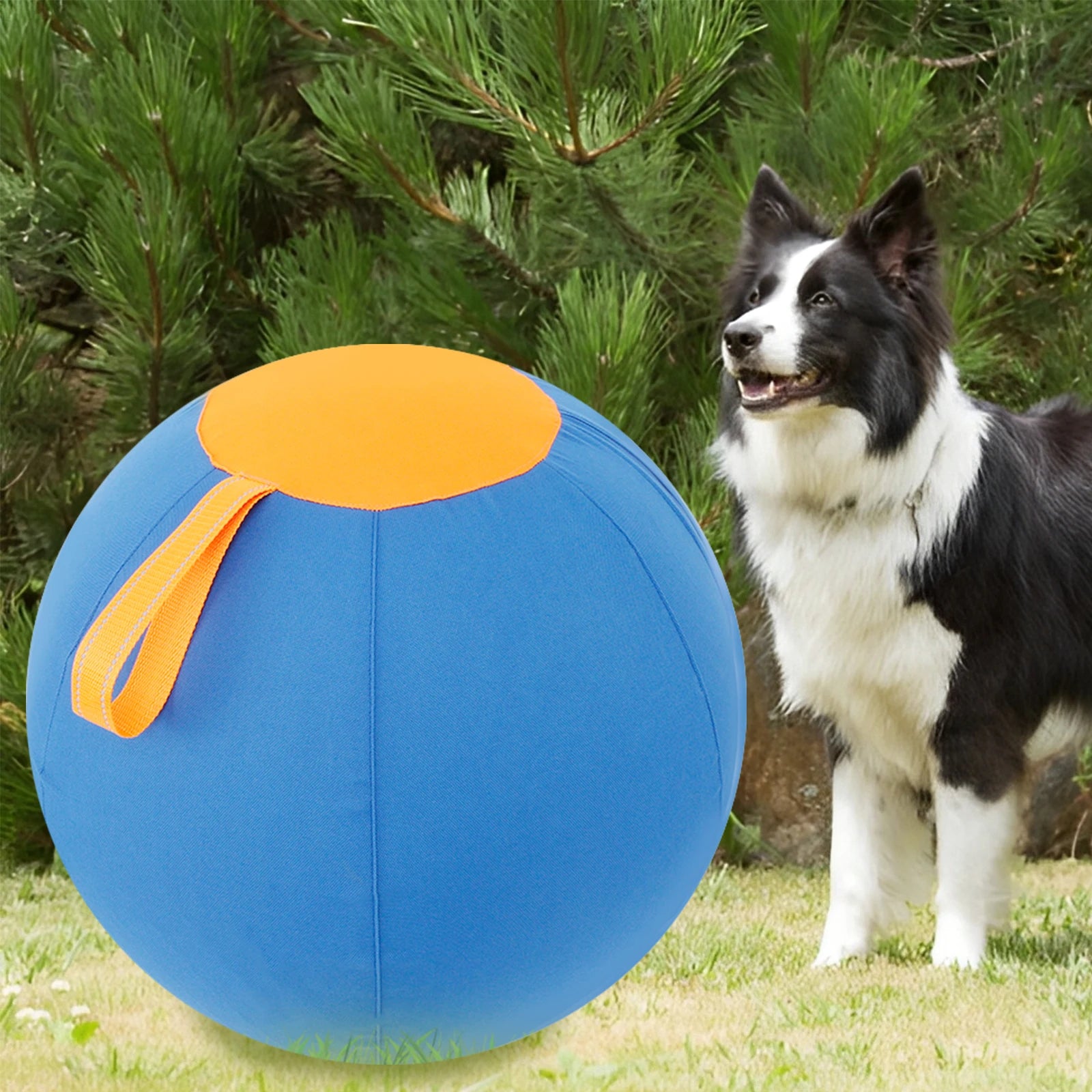 Durable Inflatable Herding Ball for Dogs – Outdoor Interactive Self-Play Training Toy for Active