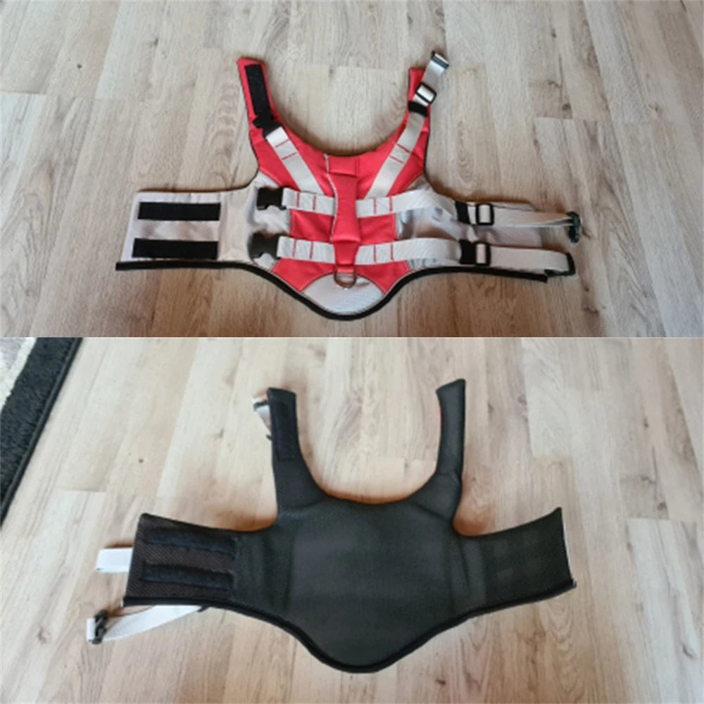 🐶 Dog Life Jacket with Handle & Pull Ring – Summer Safety Swimsuit for Small & Medium Dogs