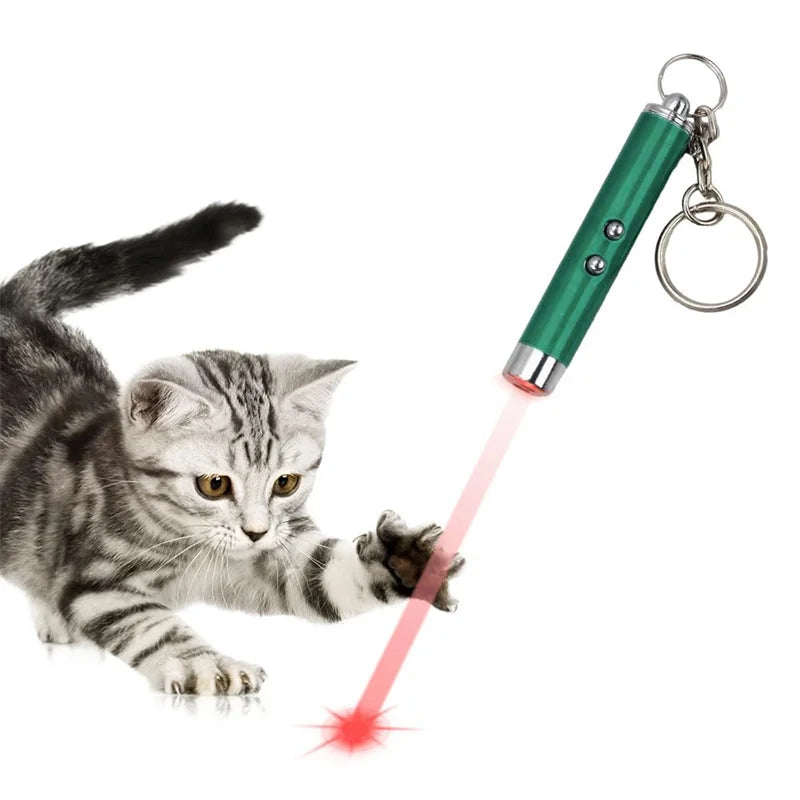 2-in-1 Mini Red Light Laser Pointer LED Torch – Cat & Dog Training Interactive Pet Toy Pen