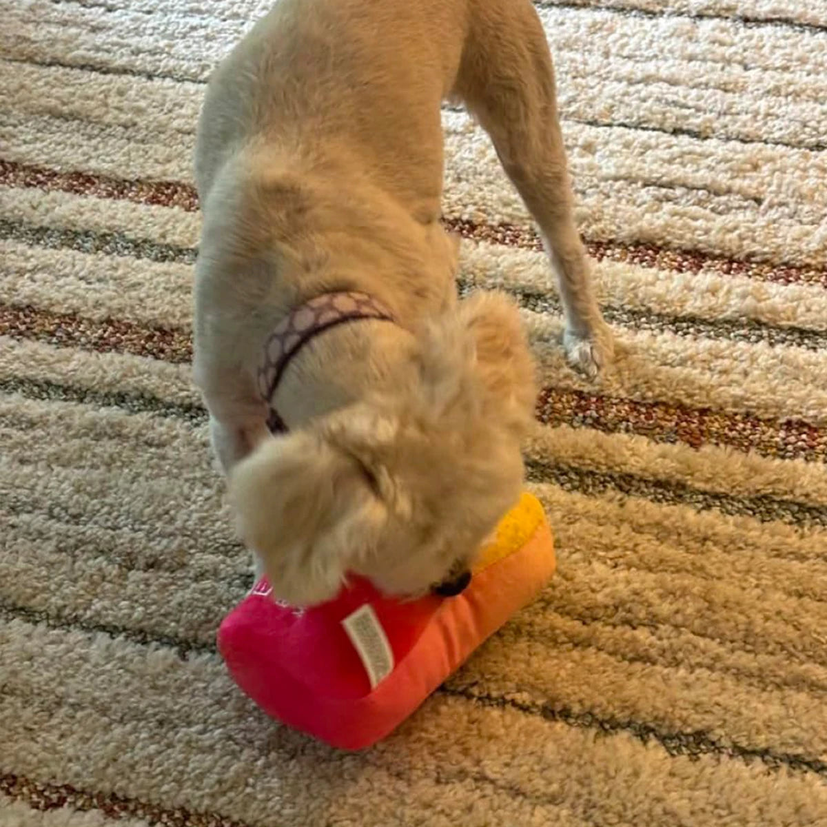 Funny Dog Toys with Squeaker – Cute Parody Plush Puppy and Dog Toys for Small, Medium & Large Dogs