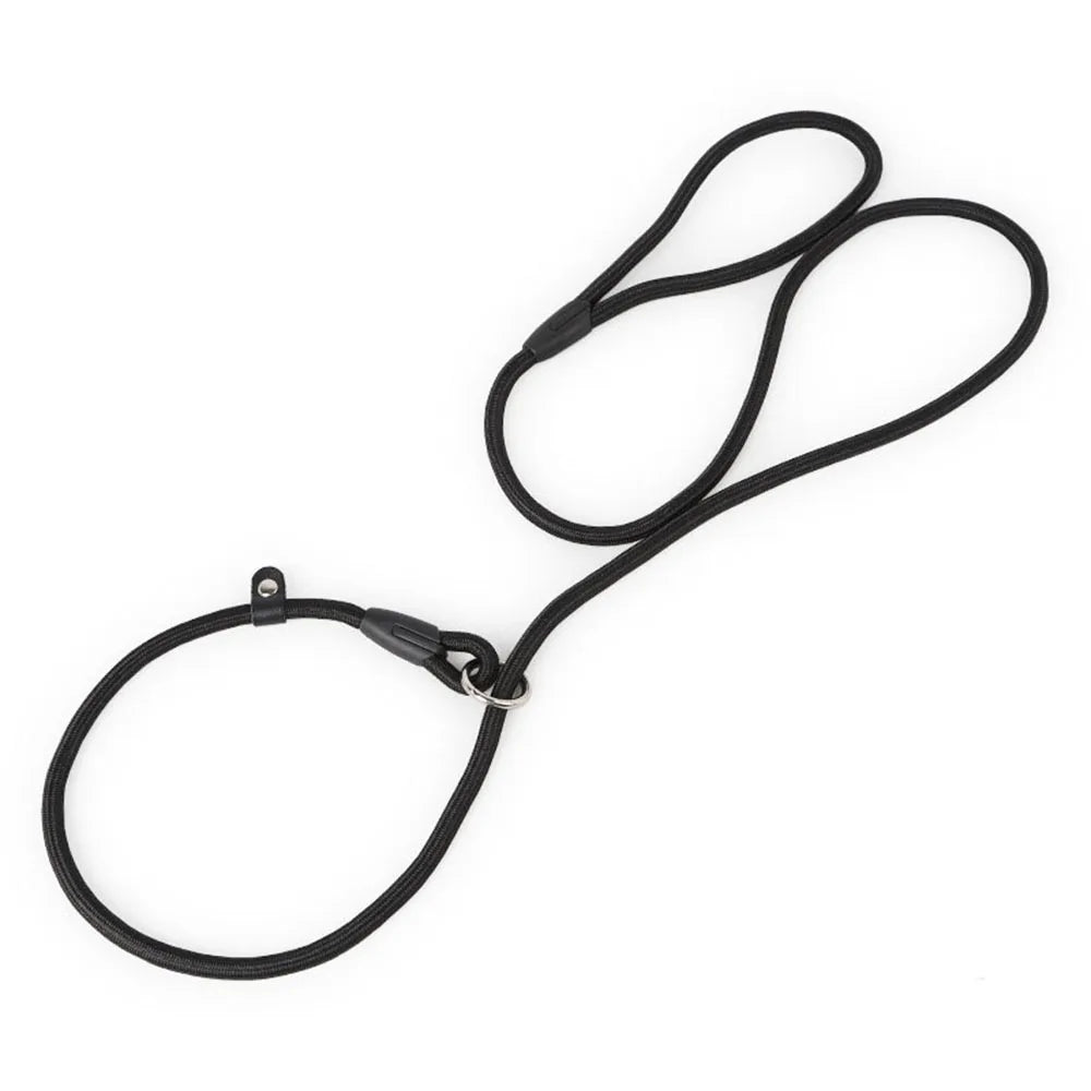 Nylon Slip Rope Dog Leash – No-Pull Training Lead for Small Dogs