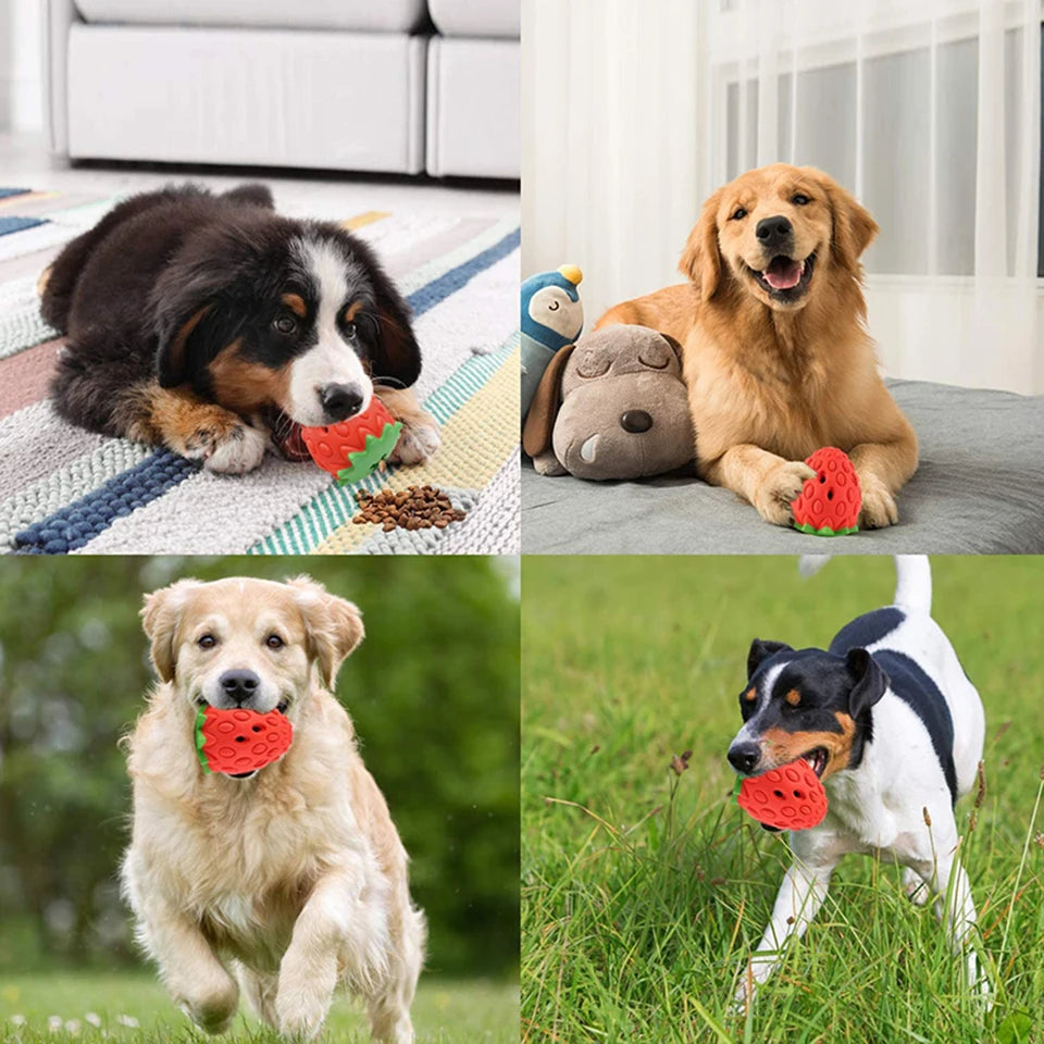 DualPet Strawberry-Shaped Dog Chew Toy – Durable Rubber Food Dispenser for Interactive Play