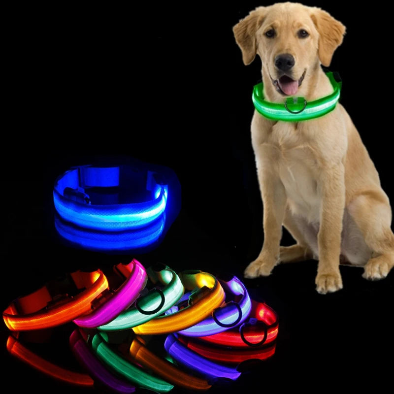 LED Dog Collar Light – USB Rechargeable/Battery Night Safety Glow Collar for Dogs & Puppies, Anti-Lost Pet Accessory