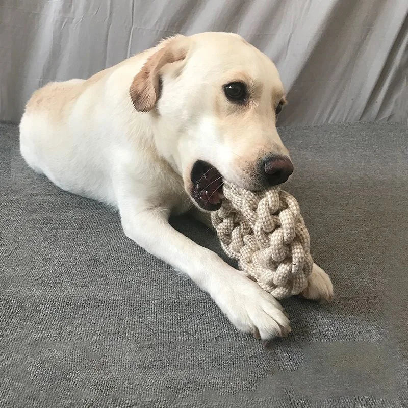 Knot Chew Toy – Teeth Cleaning & Interactive Play for Pets 🪢🐾