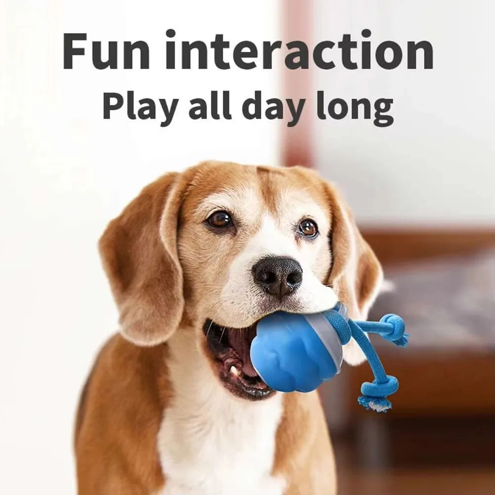 🐶 Electric Interactive Dog Ball – USB Rechargeable Jumping Pet Toy