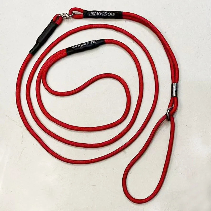 Adjustable Nylon Dog Leash with Padded Handle – Breakaway Pull-Resistant Lead for Dogs & Cats