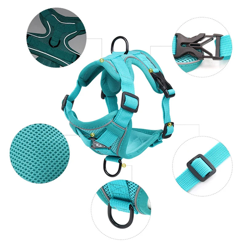 🐾 Fashion Reflective Cat Harness & Leash Set – Breathable Mesh for Cats & Small Dogs