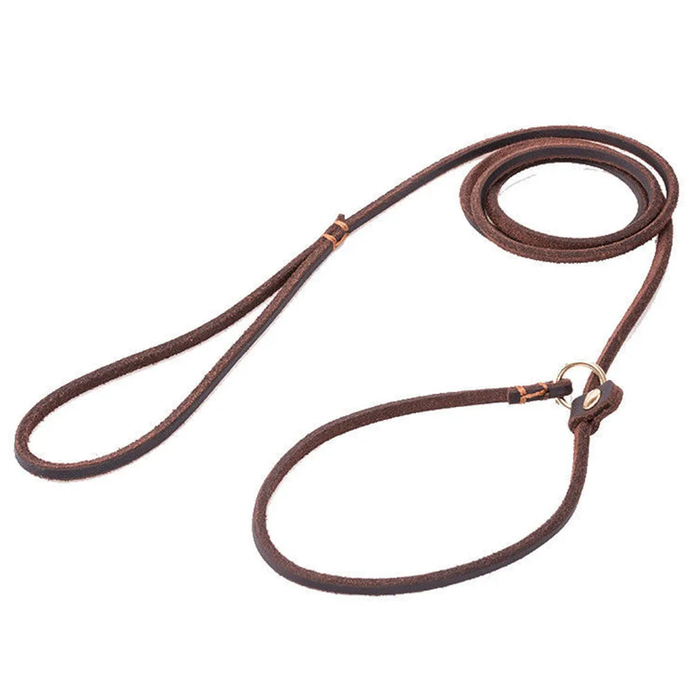 🐶 Soft Slim Genuine Leather Dog Slip Lead – No-Pull Training Control Leash for Small Dogs