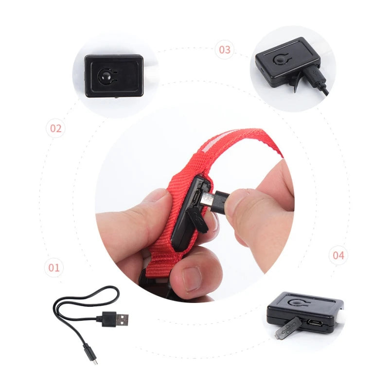 LED Dog Collar Light – USB Rechargeable/Battery Night Safety Glow Collar for Dogs & Puppies, Anti-Lost Pet Accessory