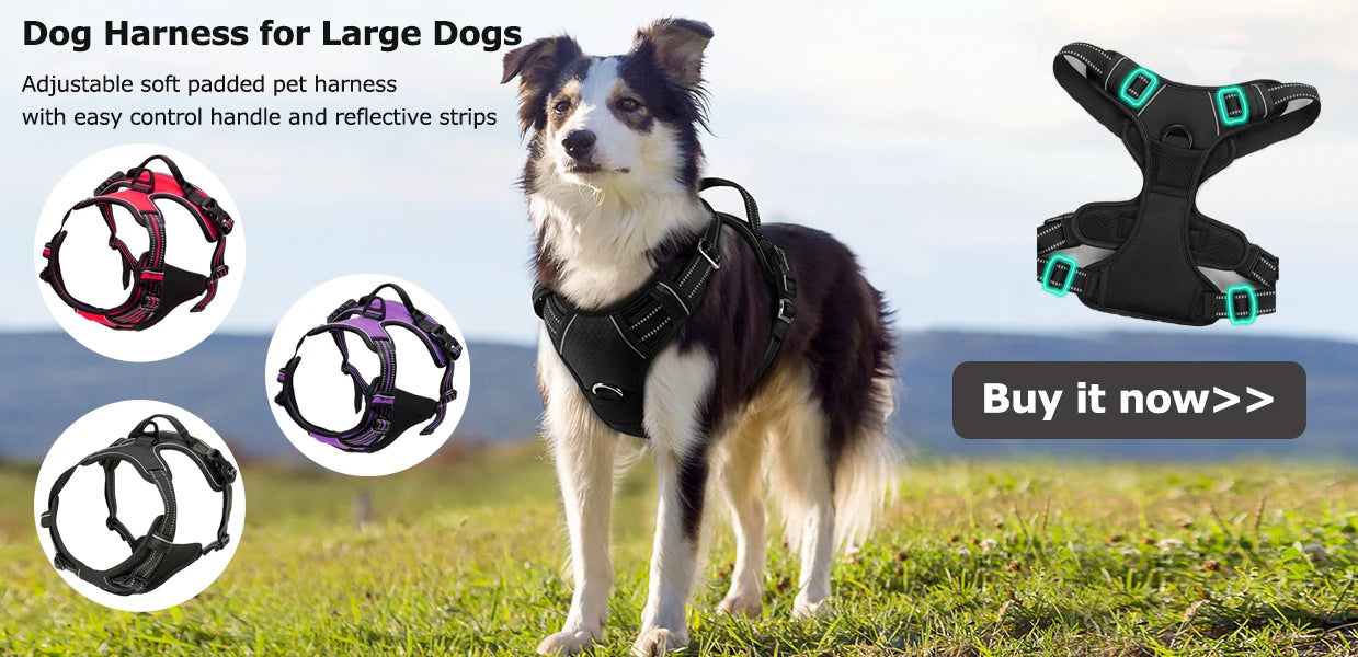 Heavy Duty Bungee Tactical Dog Leash – 2 Padded Handles, Shock-Absorbing Lead