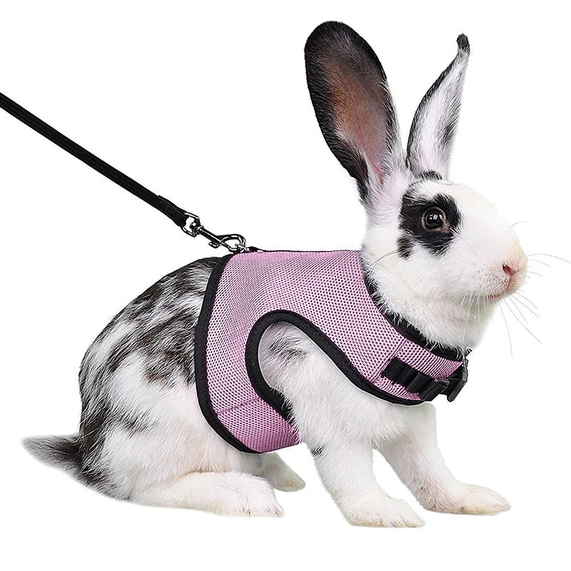 Breathable Pet Vest Harness & Leash Set – Adjustable for Rabbits & Small Pets