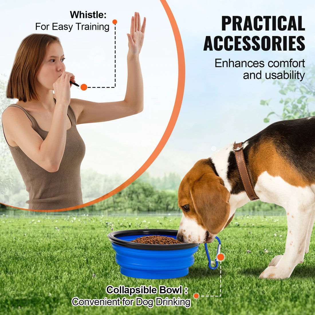 Dog Agility Training Set – 4 PCS Hurdles, Poles, Ring & Box 🐾🏃‍♂️