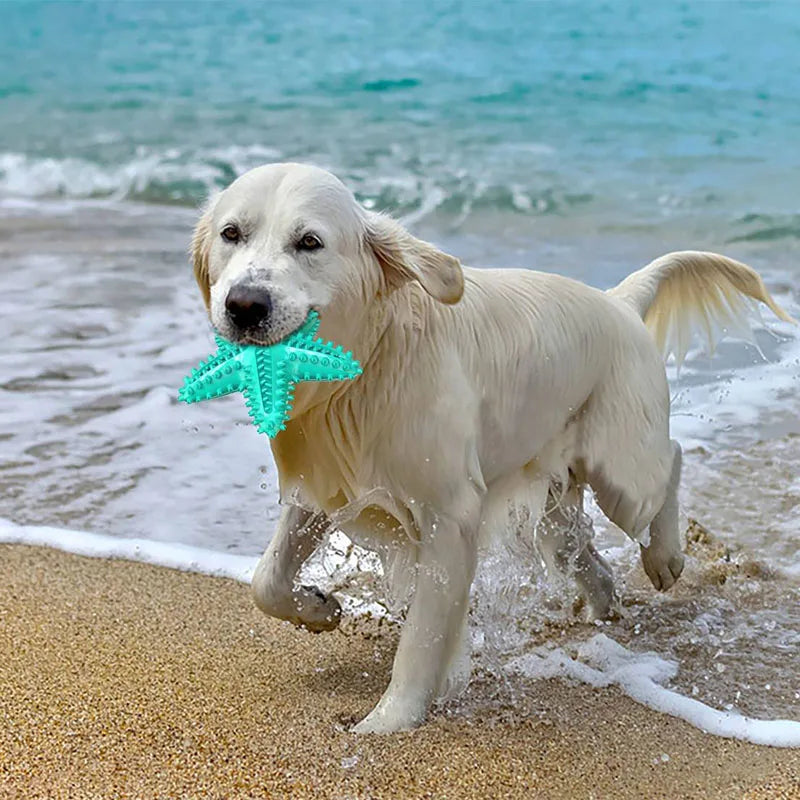 Soundmaking Starfish Dog Toy – Durable, Bite-Resistant, Teeth Cleaning & Treat Dispensing Toy