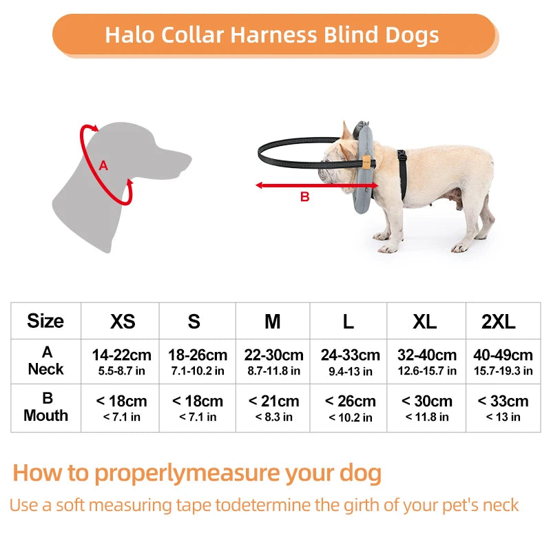 Blind Dog Collar Safety Harness – Adjustable Reflective Anti-Collision Guide Ring for Blind Dogs & Cats