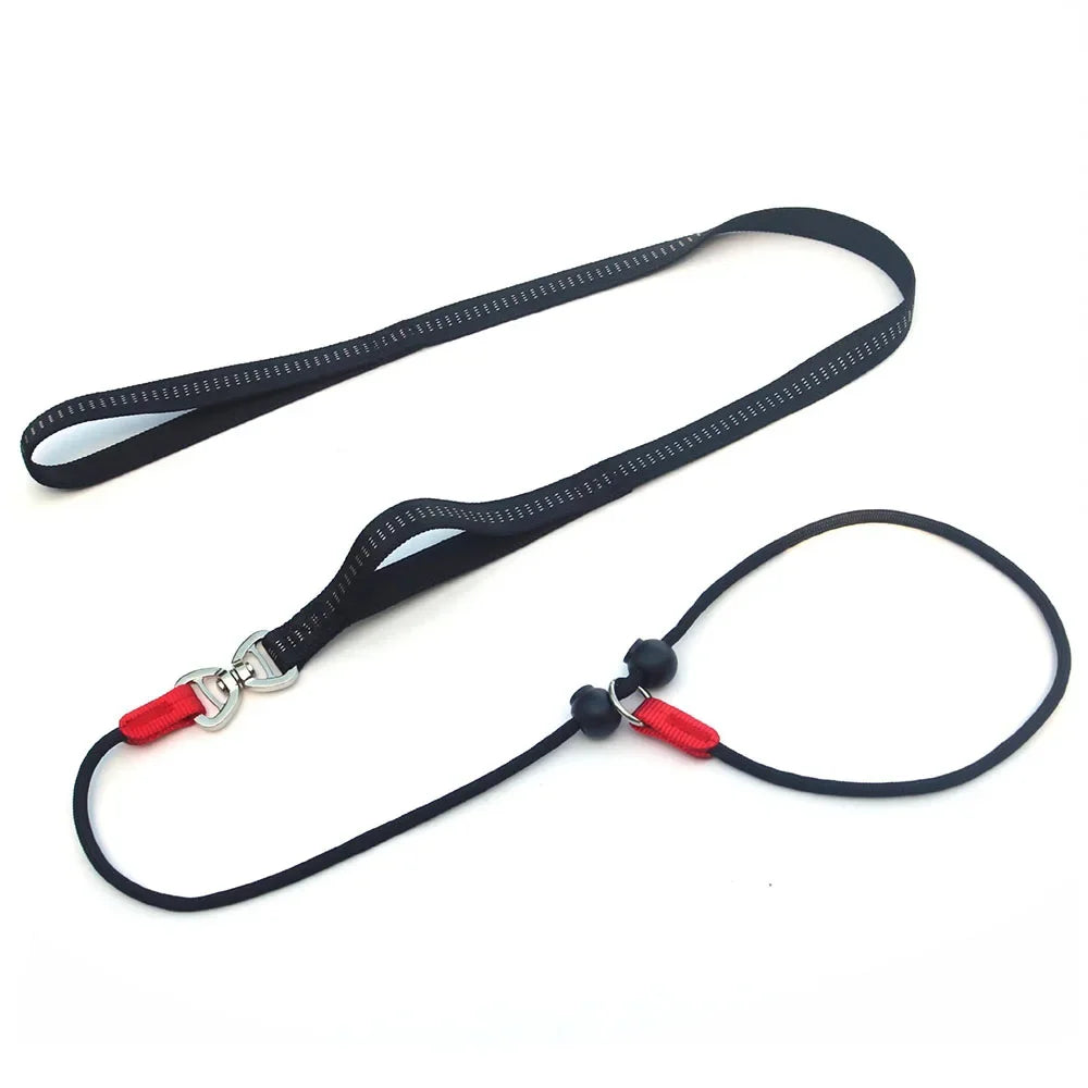 Dog Slip Lead Leash with Double Padded Handle – No Pull Training Lead with Choker Collar & Anti-Tangle Design