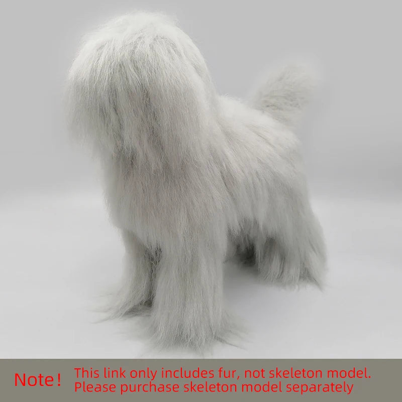 🐩 Pet Grooming Practice Model Dog – Full-Body Simulation Teddy with Realistic Synthetic Hair ✂️💇‍♀️