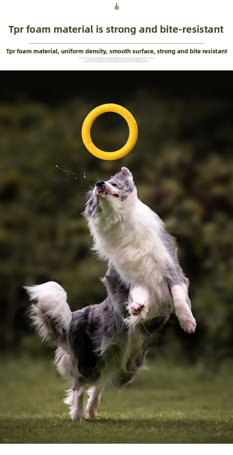 Dog Flying Disk Training Ring – Floating TPR Toy 🥏🐾